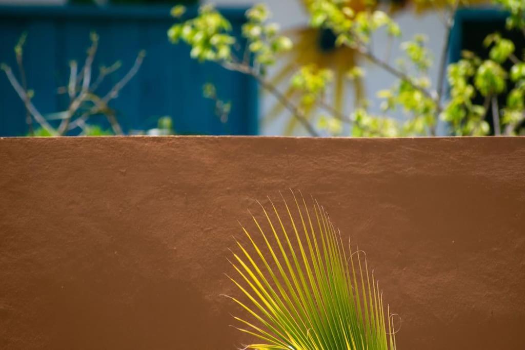 Disfruta En La Casa De Lola / Enjoy At Lolas House Progreso  Exterior photo