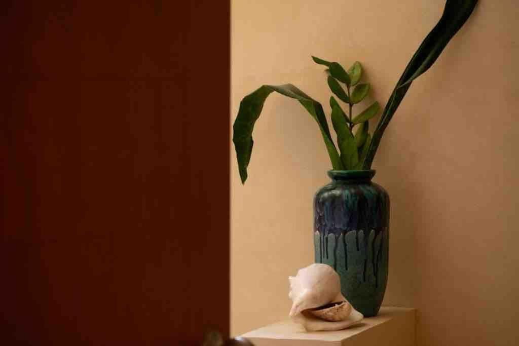 Disfruta En La Casa De Lola / Enjoy At Lolas House Progreso  Exterior photo